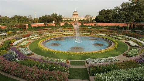 “The Mughal Garden” una visión exquisita de la naturaleza idealizada y la arquitectura imperial!